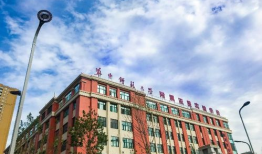 吃瓜爆料 集宁师范学院,吃瓜爆料背后的真相与风采”